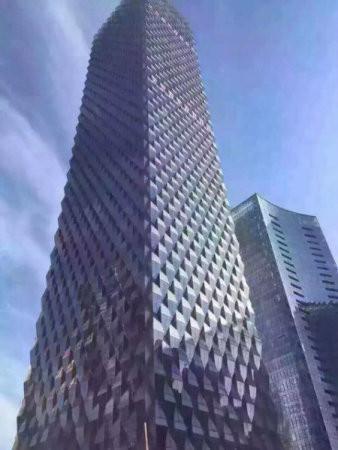 绿地中国锦以高制胜"1610193579761936.jpg"
